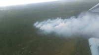 С начала пожароопасного сезона в Белоярском районе произошло шесть лесных пожаров