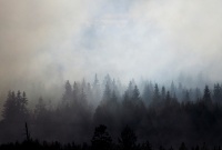 Дым от лесных пожаров в Якутии дошел до Югры