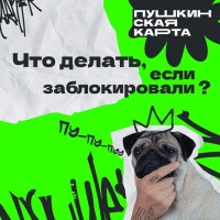Что делать, если заблокировали Пушкинскую карту? Что делать, если заблокировали Пушкинскую карту?